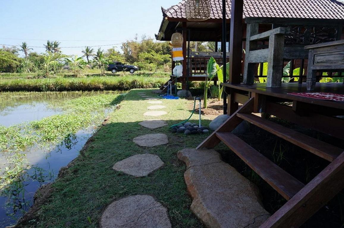 Keramas Surf Camp Otel Oda fotoğraf